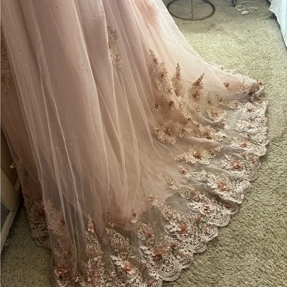 Elegant Pink Embellished Gowns - Picture 3 of 5